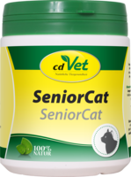 SENIOR Cat