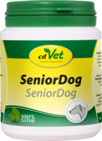 SENIOR Dog