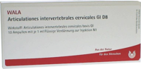 ARTICULATIONES intervertebral.cerv.GL D 8 Ampullen