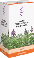 SALBEI TRIEBSPITZEN Tee Handernte