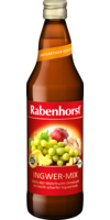 RABENHORST Ingwer-Mix Bio Saft